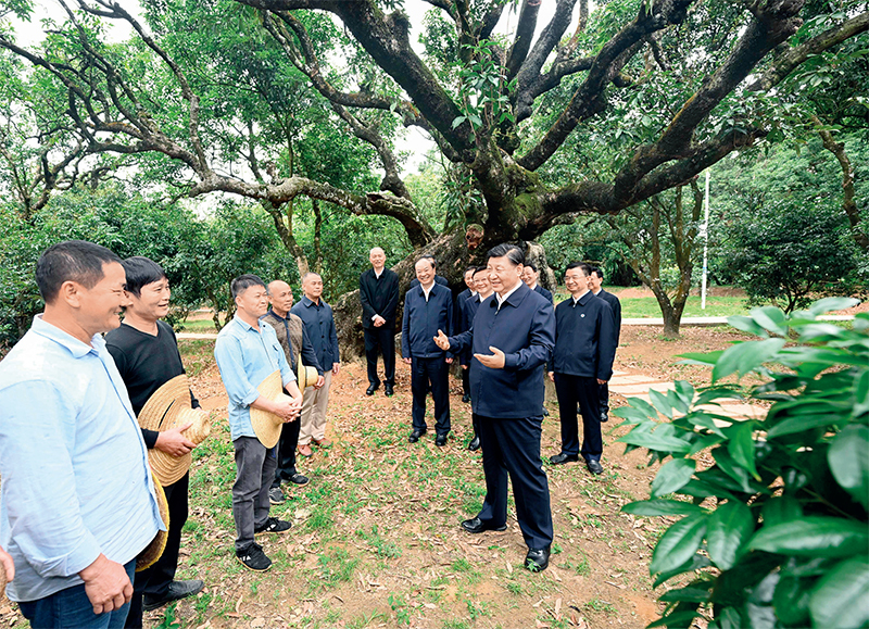 2023年4月10日至13日，中共中央總書記、國家主席、中央軍委主席習(xí)近平在廣東考察。這是11日下午，習(xí)近平在茂名高州市根子鎮(zhèn)柏橋村荔枝種植園，同現(xiàn)場技術(shù)人員親切交流。