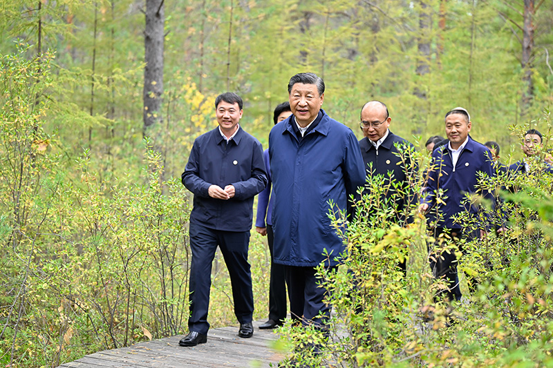 9月6日至8日，中共中央總書記、國家主席、中央軍委主席習(xí)近平在黑龍江考察。這是6日下午，習(xí)近平在大興安嶺地區(qū)漠河市漠河林場自然林區(qū)考察